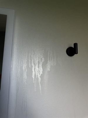 Is Flat Paint Easy to Clean? And Why Do Cats Always Sit on Freshly Painted Walls?