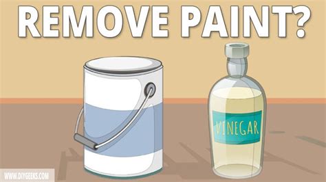 Will Vinegar Remove Paint: A Tangential Exploration of Household Mysteries